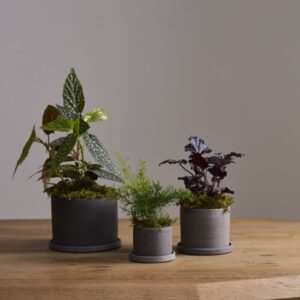 Pot Easton gris